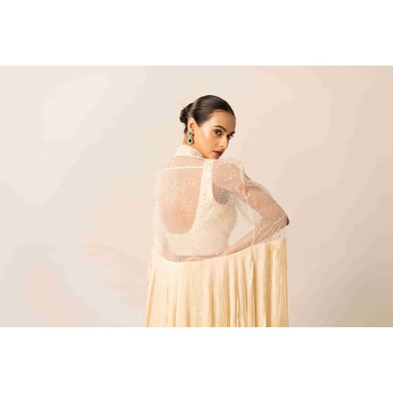 Drape Saree and Lucknow Work
